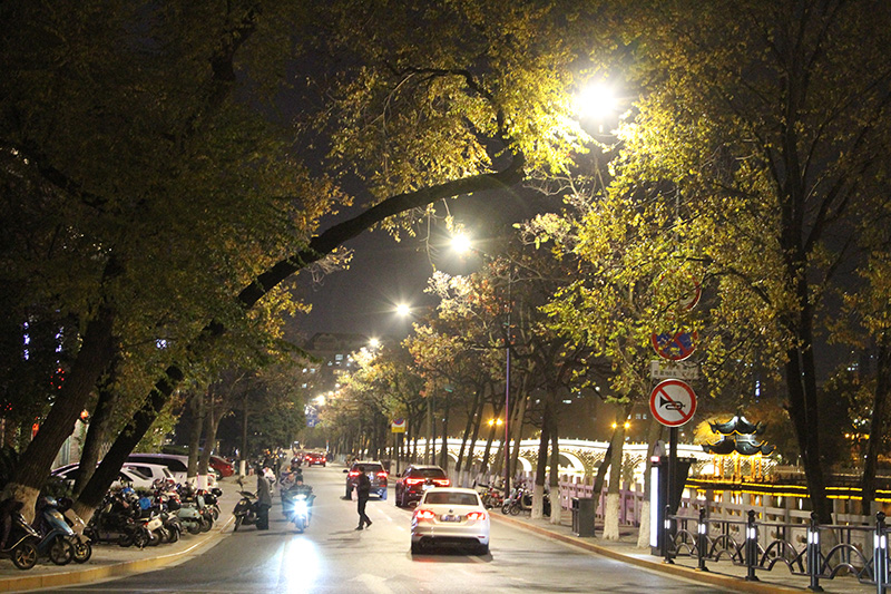 新技術（shù）,道路照明設施,引領城市,智慧化建設